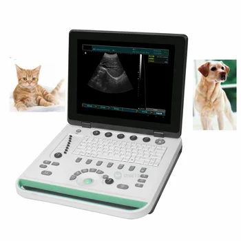 Портативный ветеринарный ультразвуковой сканер B22 Intelligent / цена клинического сканера для сканирования беременности