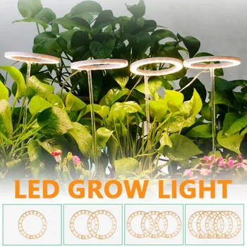 Светодиодные Фонари Ring Grow Light DC5V USB Полный Спектр Фитолампы Растущие Лампы Освещение Домашних Растений Рост Рассады Цветок В помещении